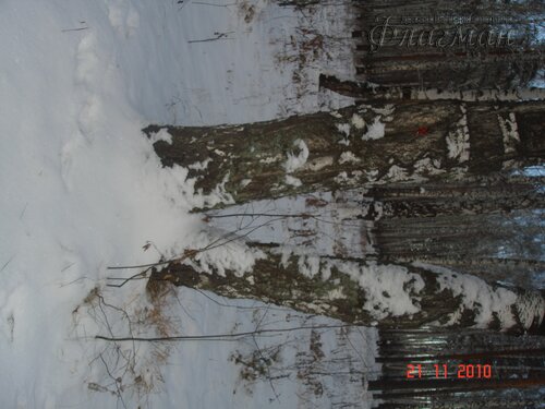 DSC04656_r